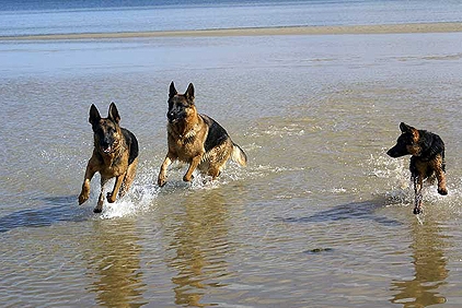 0-00000aatira,rajah,biley.jpg